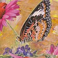 Butterfly Belle