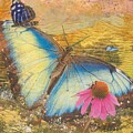 Butterfly Blue