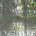Water Spots 2A